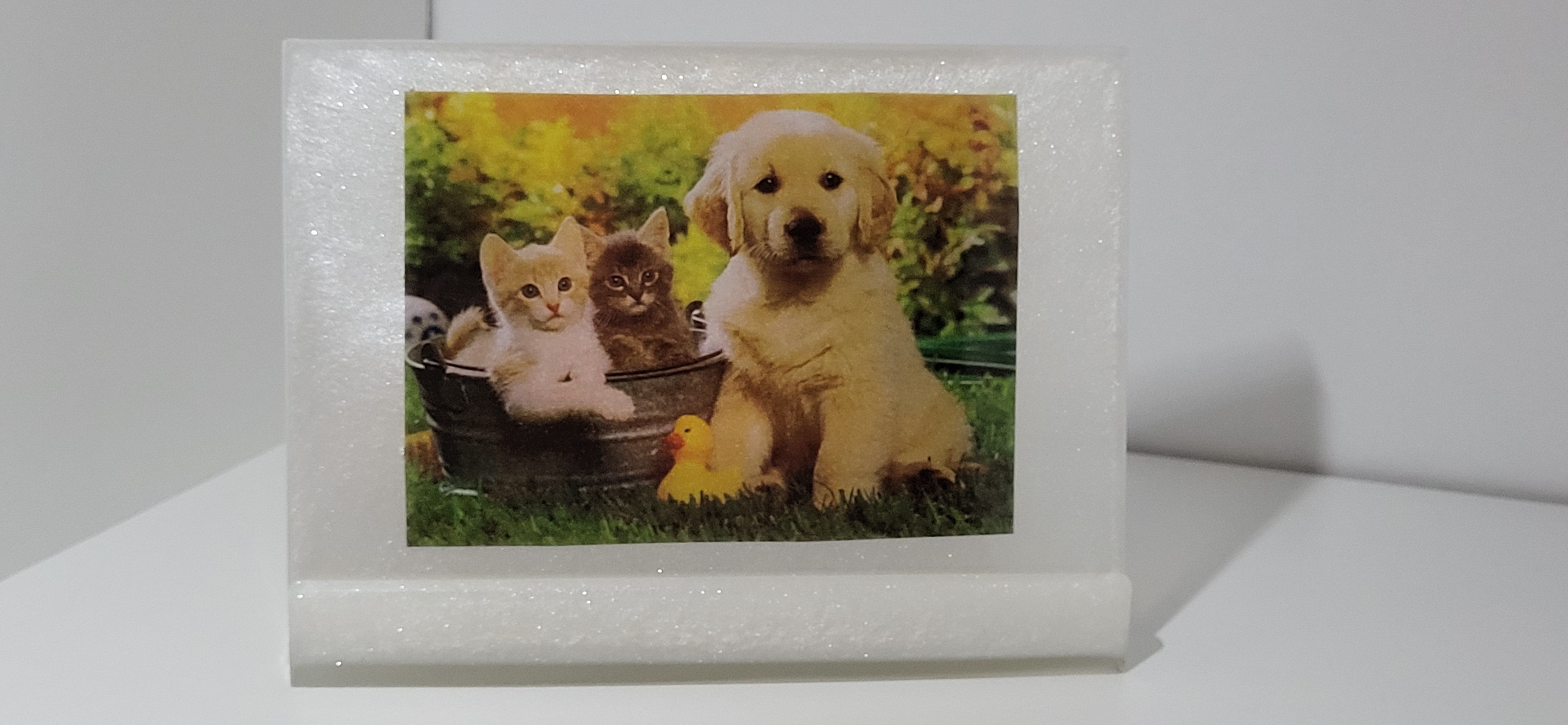 Photo Stand 3